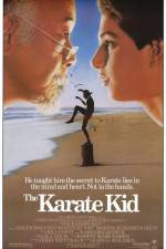 Watch The Karate Kid Wolowtube