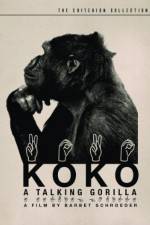 Watch Koko, le gorille qui parle Wolowtube