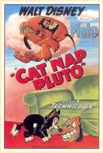 Watch Cat Nap Pluto Wolowtube