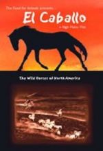Watch El Caballo: The Wild Horses of North America Wolowtube