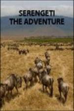 Watch Serengeti: The Adventure Wolowtube