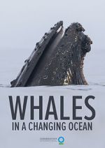 Watch Whales in a Changing Ocean (Short 2021) Wolowtube