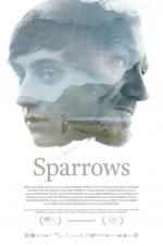 Watch Sparrows Wolowtube