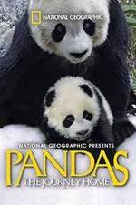 Watch Pandas: The Journey Home Wolowtube