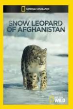 Watch Snow Leopard of Afghanistan Wolowtube