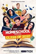 Watch Homeschool Musical: Class of 2020 Wolowtube