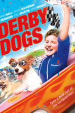 Watch Derby Dogs Wolowtube