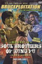 Watch Soul Brothers of Kung Fu Wolowtube
