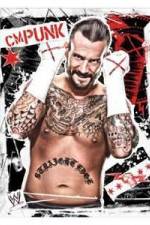 Watch WWE CM Punk - Best in the World Wolowtube