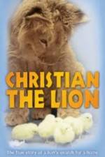 Watch Christian the lion Wolowtube