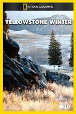 Watch National Geographic Yellowstone Winter Wolowtube