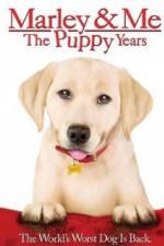 Watch Marley and Me The Puppy Years Wolowtube