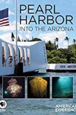 Watch Pearl Harbor: Into the Arizona Wolowtube