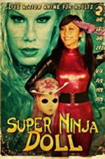 Watch Super Ninja Bikini Babes Wolowtube