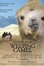 Watch The Story of the Weeping Camel Wolowtube