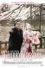 Watch Cherry Blossoms Wolowtube