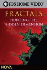 Watch NOVA - Fractals Hunting the Hidden Dimension Wolowtube