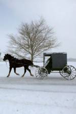 Watch Leaving Amish Paradise Wolowtube