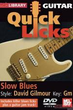 Watch Lick Library Quick Licks David Gilmour Wolowtube