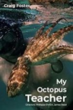 Watch My Octopus Teacher Wolowtube