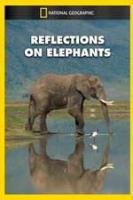 Watch Reflections on Elephants Wolowtube