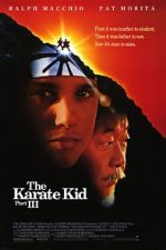 Watch The Karate Kid Part III Wolowtube