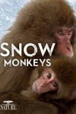 Watch Nature: Snow Monkeys Wolowtube