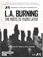 Watch L.A. Burning: The Riots 25 Years Later Wolowtube