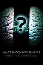 Watch What Is Consciousness? What Is Its Purpose? Wolowtube