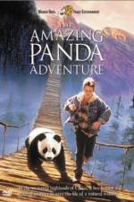 Watch The Amazing Panda Adventure Wolowtube