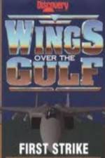 Watch Wings Over the Gulf Vol  1  First Strike Wolowtube