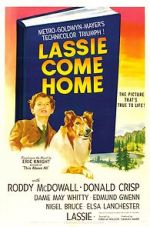 Watch Lassie Come Home Wolowtube