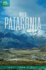 Watch Wild Patagonia Wolowtube