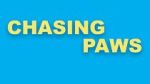 Watch Chasing Paws (Short 2020) Wolowtube