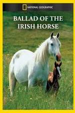 Watch Ballad of the Irish Horse Wolowtube