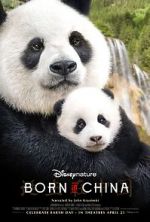 Watch Born in China Wolowtube
