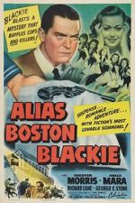 Watch Alias Boston Blackie Wolowtube