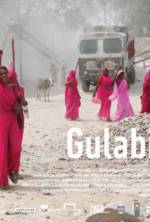 Watch Gulabi Gang Wolowtube
