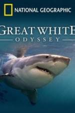 Watch Great White Odyssey Wolowtube
