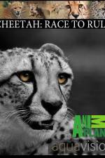 Watch Cheetah: Race to Rule Wolowtube