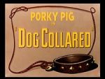 Watch Dog Collared (Short 1950) Wolowtube