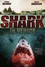 Watch Shark in Venice Wolowtube