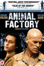 Watch Animal Factory Wolowtube
