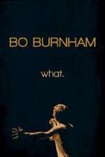 Watch Bo Burnham: what Wolowtube