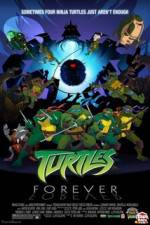 Watch Teenage Mutant Ninja Turtles Turtles Forever Wolowtube