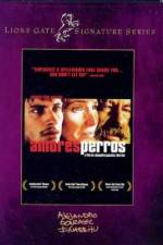 Watch Amores perros Wolowtube