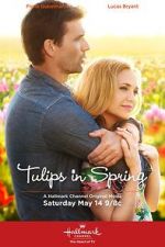 Watch Tulips in Spring Wolowtube