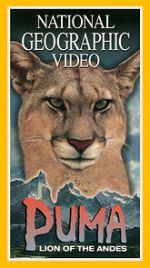 Watch Puma: Lion of the Andes Wolowtube