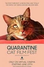 Watch Quarantine Cat Film Fest Wolowtube