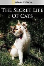 Watch The Secret Life of Cats Wolowtube